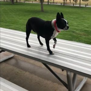 Meet your Posher, Lori